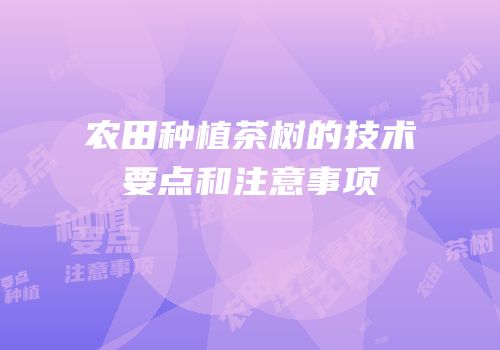 农田种植茶树的技术要点和注意事项