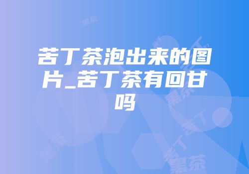 苦丁茶泡出来的图片_苦丁茶有回甘吗