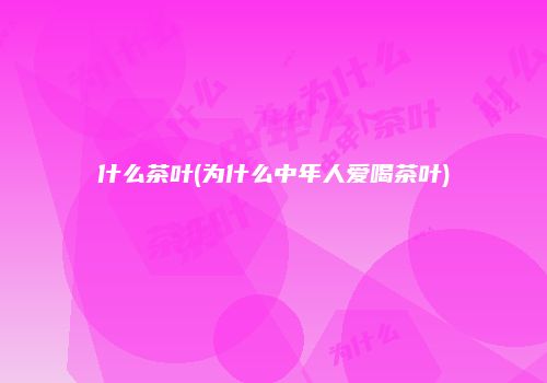 什么茶叶(为什么中年人爱喝茶叶)