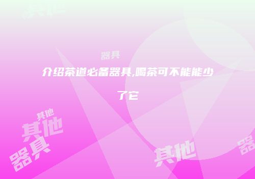 介绍茶道必备器具,喝茶可不能能少了它