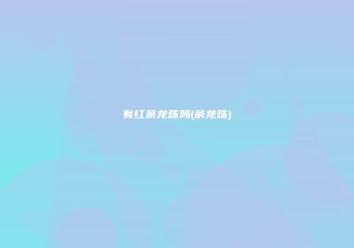 有红茶龙珠吗(茶龙珠)