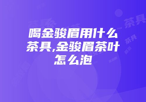 喝金骏眉用什么茶具,金骏眉茶叶怎么泡