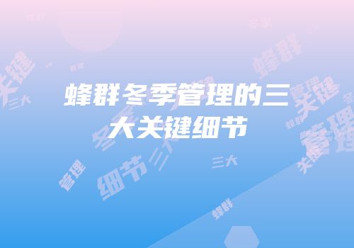 蜂群冬季管理的三大关键细节