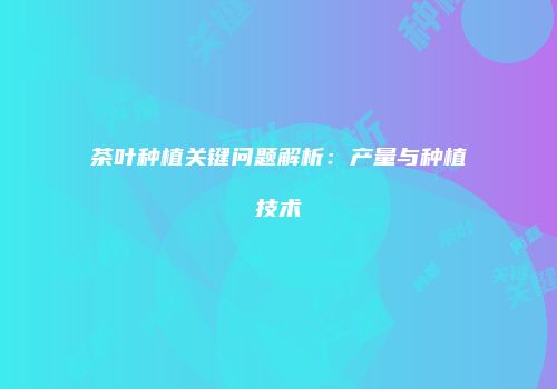 茶叶种植关键问题解析：产量与种植技术