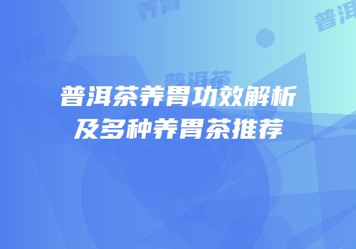 普洱茶养胃功效解析及多种养胃茶推荐