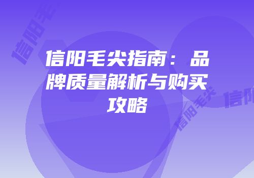 信阳毛尖指南：品牌质量解析与购买攻略