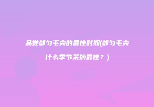 品尝都匀毛尖的最佳时期(都匀毛尖什么季节采摘最佳？)