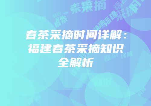 春茶采摘时间详解：福建春茶采摘知识全解析
