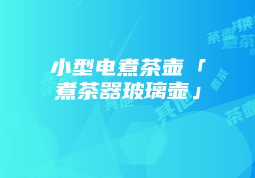 小型电煮茶壶「煮茶器玻璃壶」
