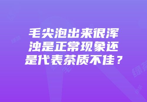 毛尖泡出来很浑浊是正常现象还是代表茶质不佳？