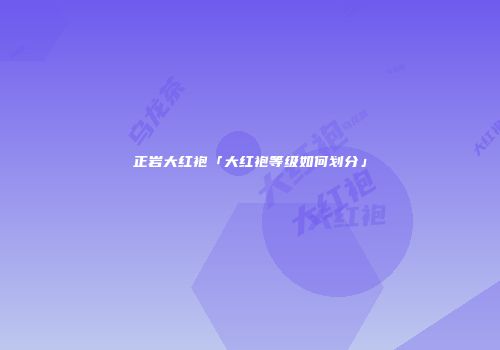 正岩大红袍「大红袍等级如何划分」