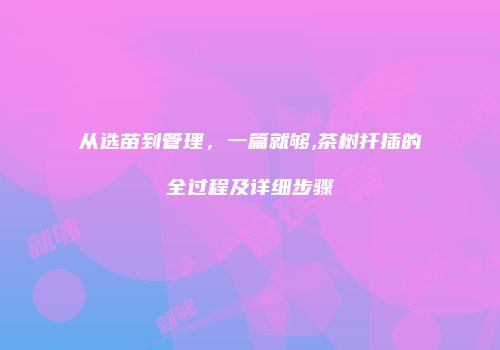 从选苗到管理，一篇就够,茶树扦插的全过程及详细步骤