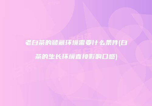 老白茶的储藏环境需要什么条件(白茶的生长环境直接影响口感)