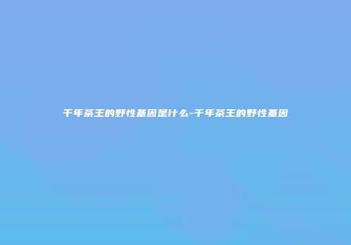 千年茶王的野性基因是什么-千年茶王的野性基因