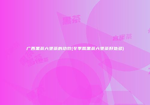 广西黑茶六堡茶的功效(冬季喝黑茶六堡茶好处多)