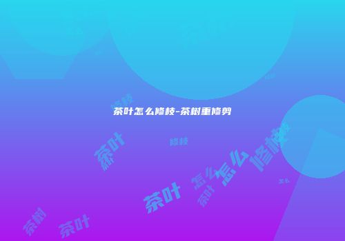 茶叶怎么修枝-茶树重修剪