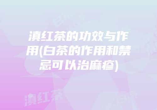 滇红茶的功效与作用(白茶的作用和禁忌可以治麻疹)