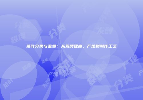 茶叶分类与鉴赏：从发酵程度、产地到制作工艺
