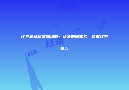 红茶品鉴与鉴别指南：从冲泡到鉴赏，尽享红茶魅力