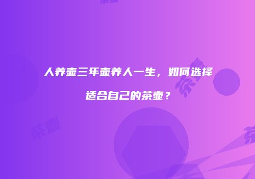 人养壶三年壶养人一生，如何选择适合自己的茶壶？