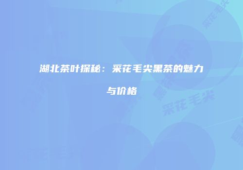 湖北茶叶探秘：采花毛尖黑茶的魅力与价格