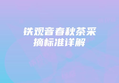 铁观音春秋茶采摘标准详解
