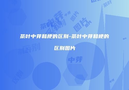 茶叶中芽和梗的区别-茶叶中芽和梗的区别图片