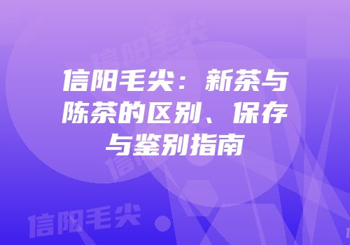 信阳毛尖：新茶与陈茶的区别、保存与鉴别指南