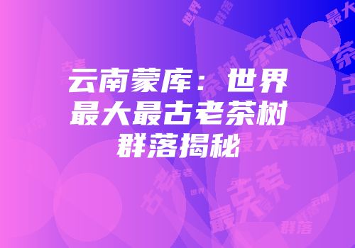 云南蒙库：世界最大最古老茶树群落揭秘