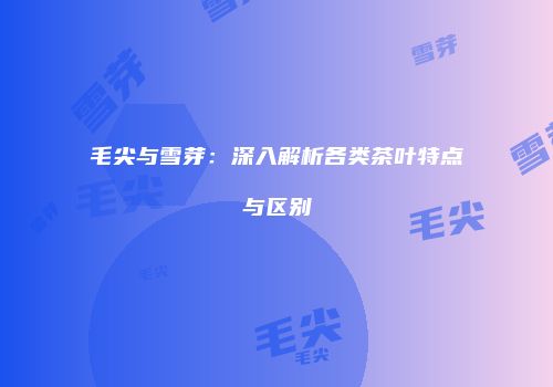 毛尖与雪芽：深入解析各类茶叶特点与区别