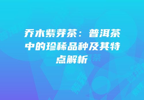 乔木紫芽茶：普洱茶中的珍稀品种及其特点解析