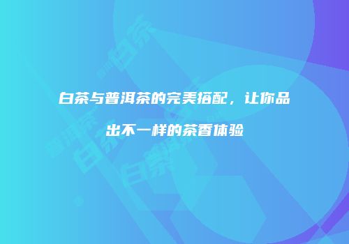 白茶与普洱茶的完美搭配，让你品出不一样的茶香体验