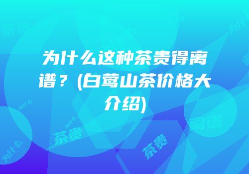为什么这种茶贵得离谱？(白莺山茶价格大介绍)