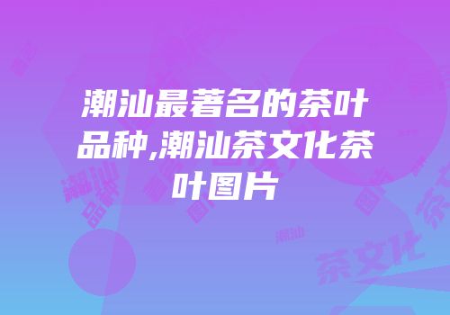 潮汕最著名的茶叶品种,潮汕茶文化茶叶图片
