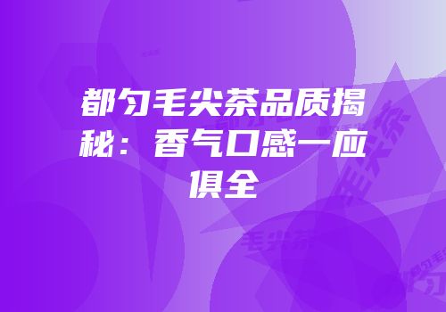 都匀毛尖茶品质揭秘：香气口感一应俱全