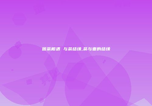因茶相遇 与茶结缘,茶与壶的结缘