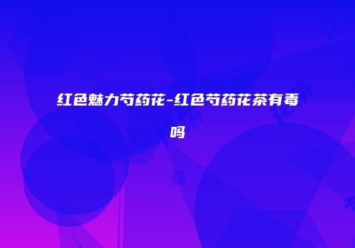红色魅力芍药花-红色芍药花茶有毒吗
