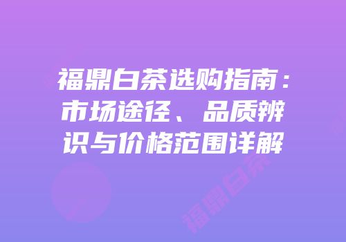 福鼎白茶选购指南：市场途径、品质辨识与价格范围详解