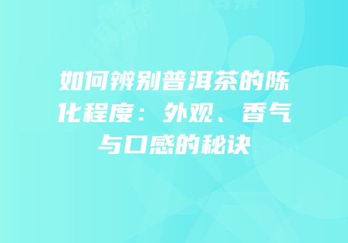 如何辨别普洱茶的陈化程度：外观、香气与口感的秘诀
