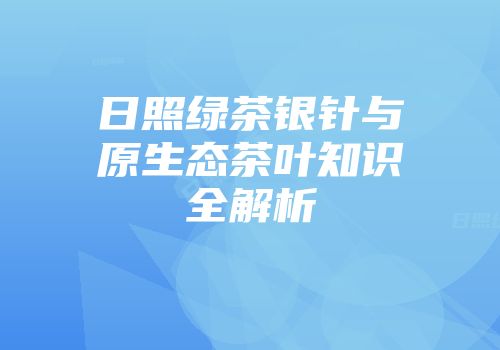 日照绿茶银针与原生态茶叶知识全解析