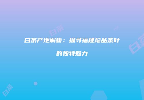 白茶产地解析：探寻福建珍品茶叶的独特魅力