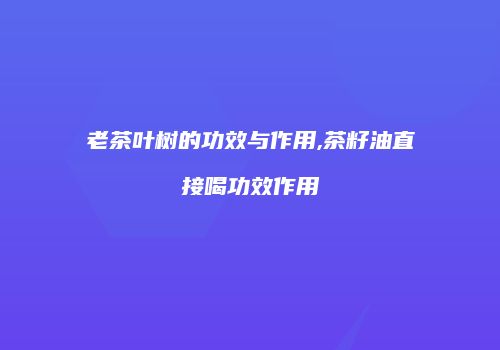 老茶叶树的功效与作用,茶籽油直接喝功效作用