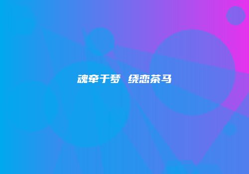 魂牵于梦 绕恋茶马