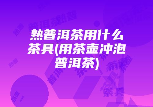 熟普洱茶用什么茶具(用茶壶冲泡普洱茶)