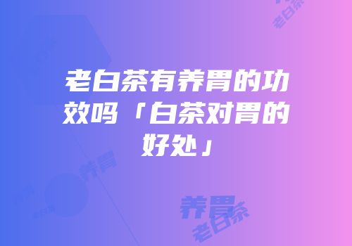 老白茶有养胃的功效吗「白茶对胃的好处」