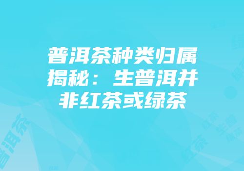 普洱茶种类归属揭秘：生普洱并非红茶或绿茶