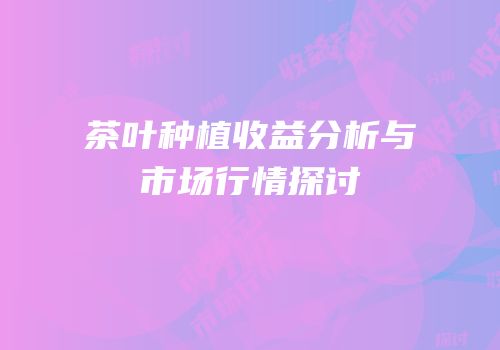 茶叶种植收益分析与市场行情探讨