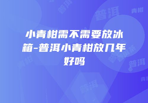 小青柑需不需要放冰箱-普洱小青柑放几年好吗