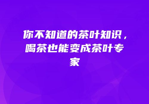 你不知道的茶叶知识，喝茶也能变成茶叶专家