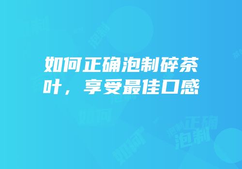 如何正确泡制碎茶叶，享受最佳口感
